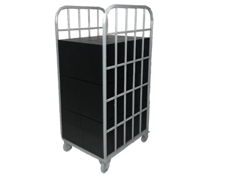 two sided roll cage 1:10