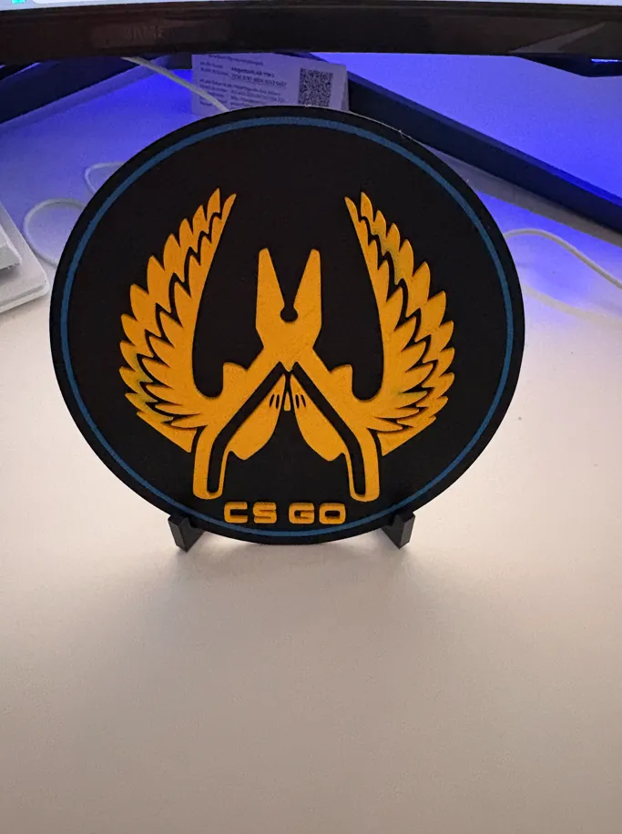 Guardian Pin CSGO - Free 3D Print Model - MakerWorld