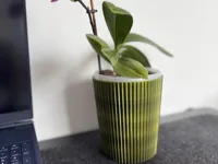 0.2mm layer, 3 walls, 20% infill