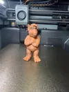 0.16mm layer, 2 walls, 9% infill