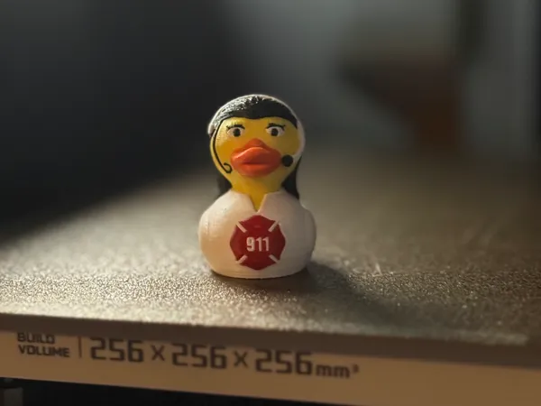 https://makerworld.bblmw.com/makerworld/model/US5eab1b0d81e2f1/design/2025-04-24_ba1f6ceb3bff58.jpg