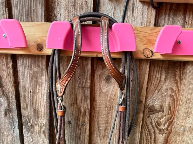 Trensenhalter - Bridle Holder