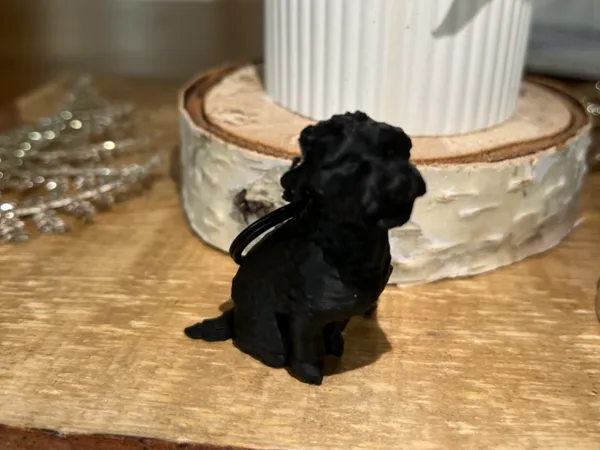 https://makerworld.bblmw.com/makerworld/model/US5eb7e8c2bf9a4a/design/2025-02-01_cb348e91f1a918.jpg