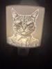 0.12mm layer, 99 walls, with support