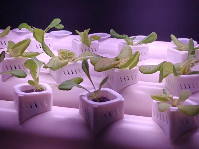Hydroponic PVC Riser