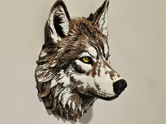 Canadian wolf