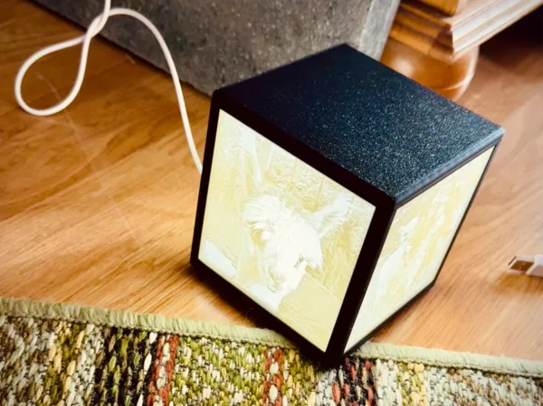https://makerworld.bblmw.com/makerworld/model/US5ec2d3f80cdd29/design/2024-11-17_e2e2967c4394a.jpg
