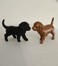 Petit chien — photo 4