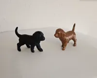 Petit chien — photo 3