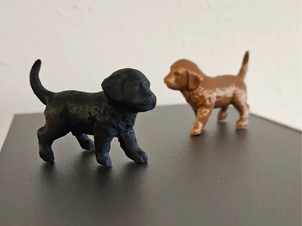 Petit chien