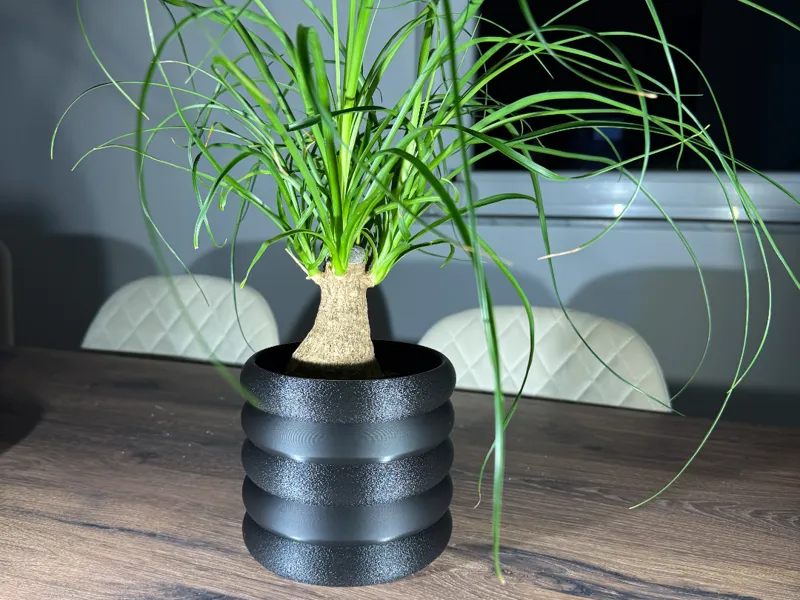 Modern minimalist Planter