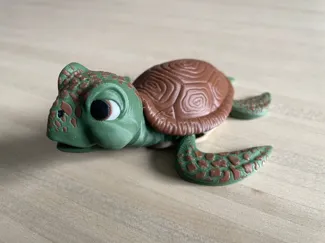 flexi turtle
