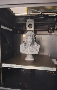 0.16mm layer, 2 walls, 8% infill