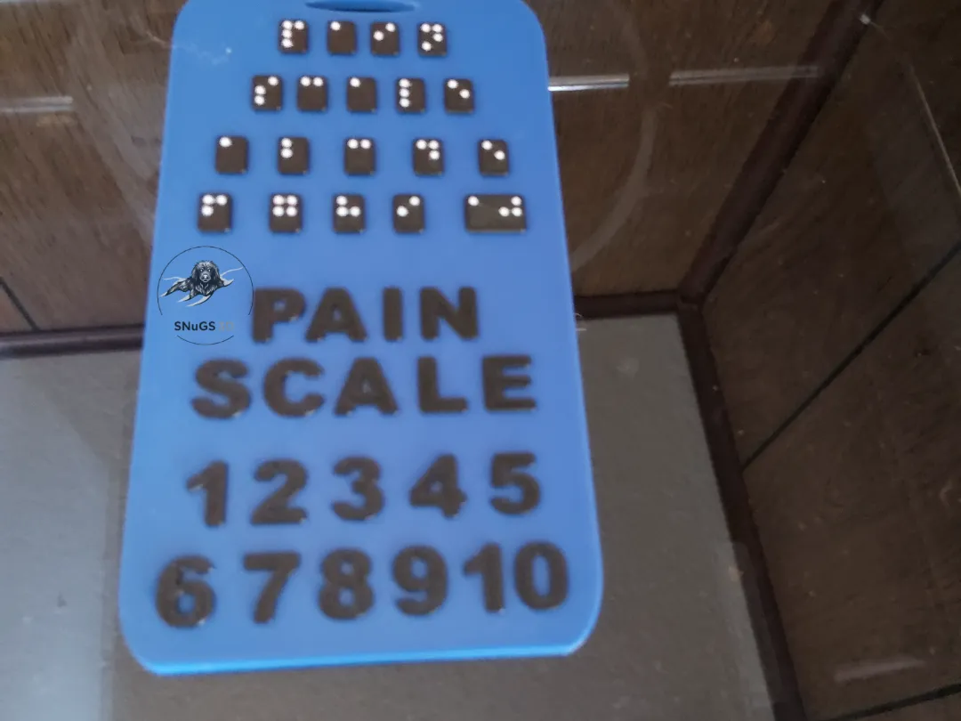Scale Tag Braille Pain Scale Tag - Free 3D Print Model - MakerWorld