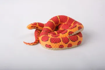 Figura decorativa: Corn Snake Sculpture Realistic Serpent Figurine — vista de referencia 4
