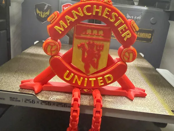 https://makerworld.bblmw.com/makerworld/model/US5ed801d92ab93f/design/2025-01-13_48123f0351cd5.jpg