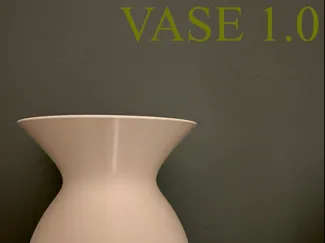 VASE 1.0