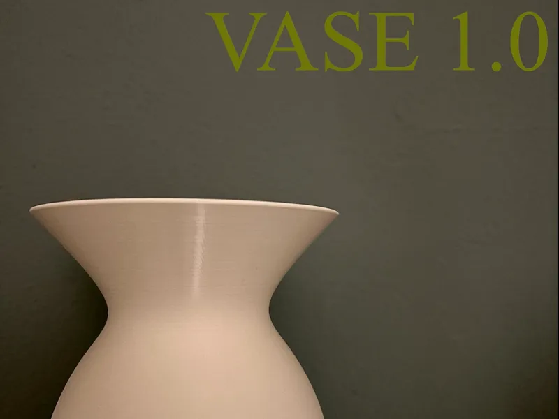 VASE 1.0