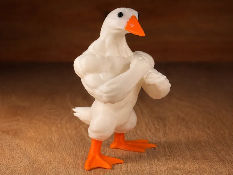 Gym Duck
