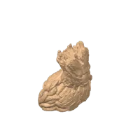 Buste de Groot — photo 3