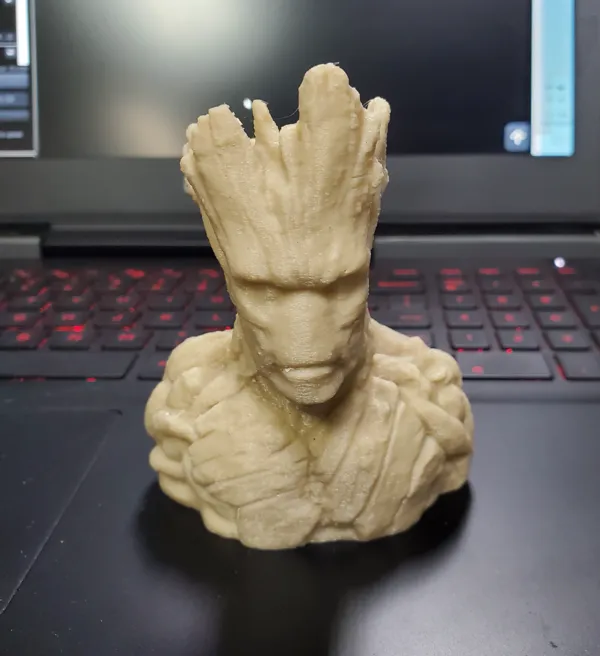 Buste de Groot
