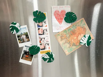 Albo Monstera Leaf Magnets – (Variegated Style)