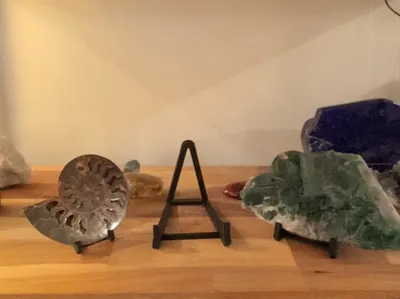 Stand for Fine Stones and Fossils