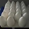 Single Egg