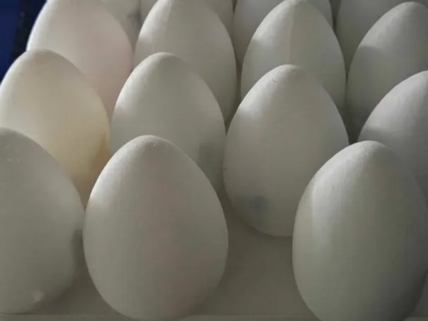 Breakopen Egg