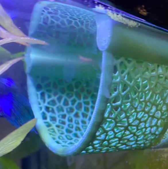 https://makerworld.bblmw.com/makerworld/model/US5eefce90e94857/design/2024-04-28_b7d3e580bf9a8.jpg