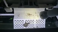 配置3:乌龟晒台配件模块---龟粮盒/置物盒