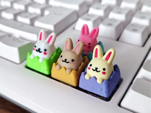 https://makerworld.bblmw.com/makerworld/model/US5ef1d31a06307a/design/2025-03-28_10e59f39a610b.jpg
