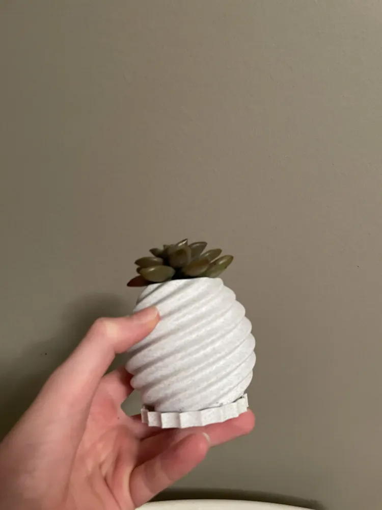 succulent plant pot - Free 3D Print Model - MakerWorld