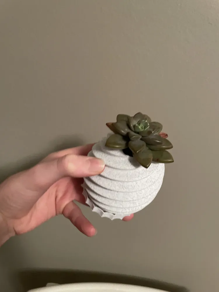 succulent plant pot - Free 3D Print Model - MakerWorld