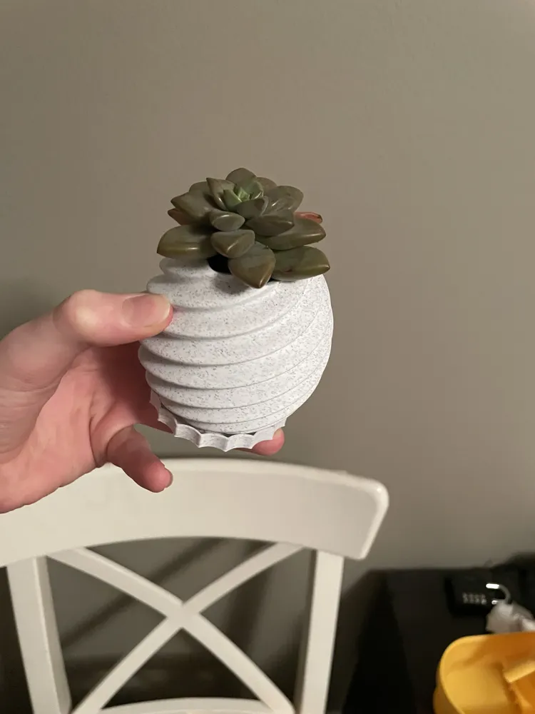 succulent plant pot - Free 3D Print Model - MakerWorld