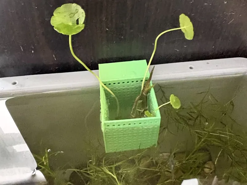 周转箱水培篮.3mf