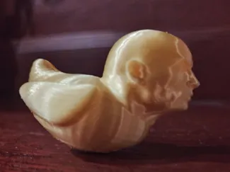 Dwayne the quack Johnson