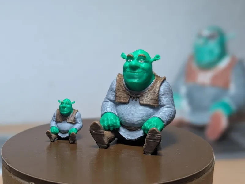 Shrek - 3D Coloring & AMS Multi-Color Editio