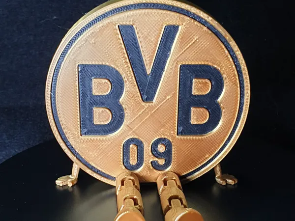 https://makerworld.bblmw.com/makerworld/model/US5f0081ec45dab9/design/2025-01-01_d9acf0b874452.jpg