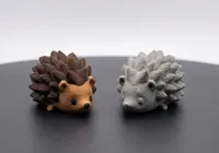 Pip le hérisson de poche — photo 3