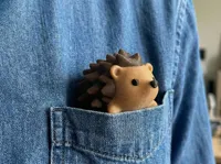 Pip le hérisson de poche — photo 1