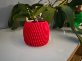 Vaso a Spirale Moderna - Modern Spiral Vase