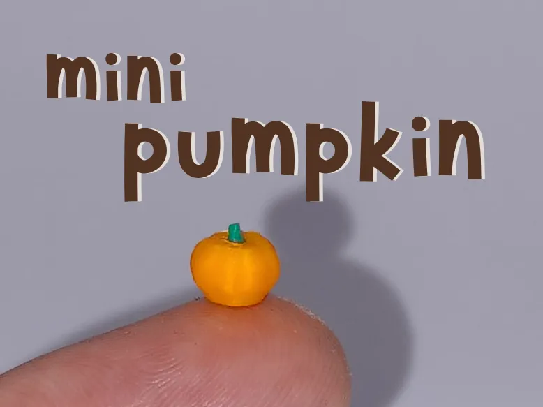 tiny mini pumpkin 
