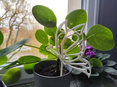 Butterfly plant decoration