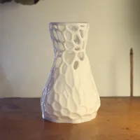 0.2mm layer, 2 walls, 100% infill