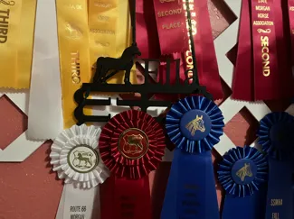 Morgan Horse Medal Hanger