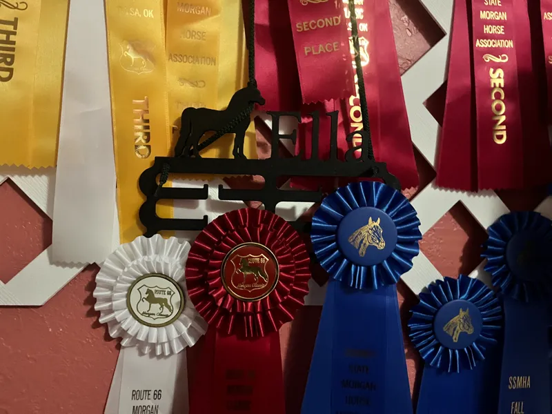 Morgan Horse Medal Hanger