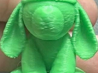 Disney Evie inspired towel dog print