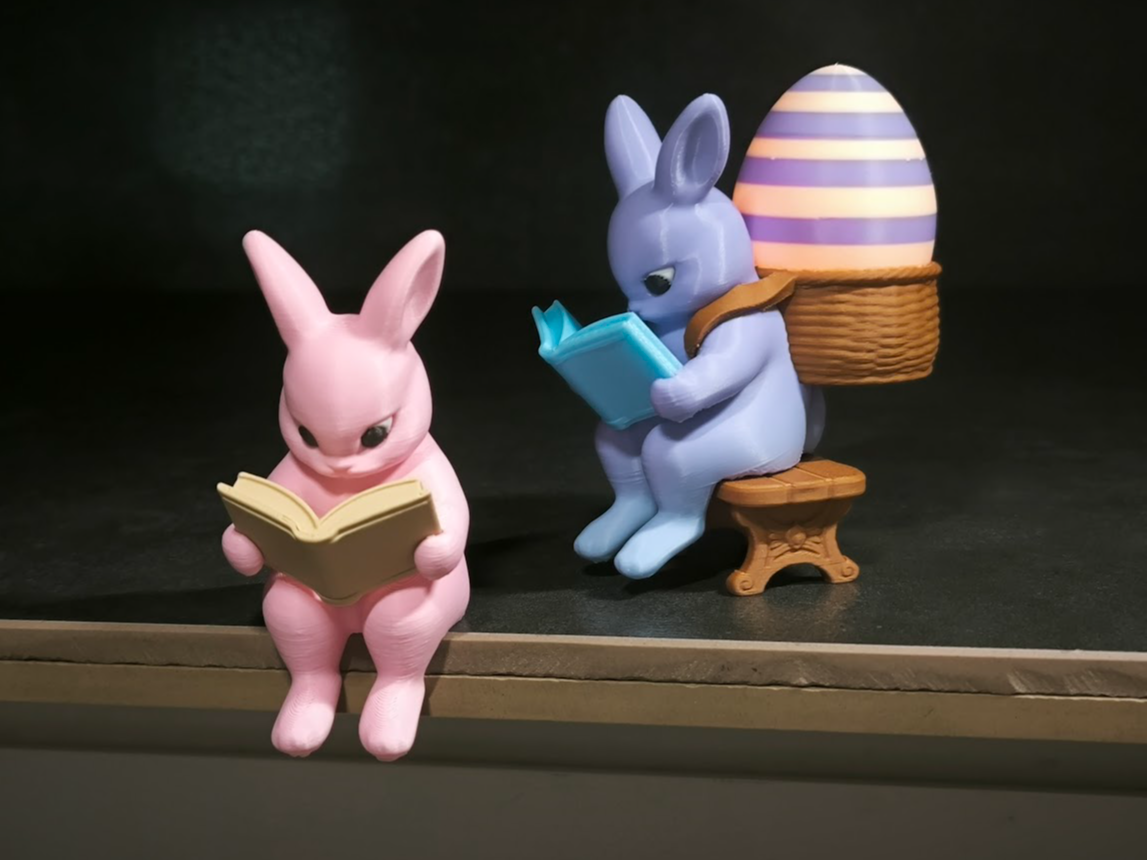 Reading Bunny