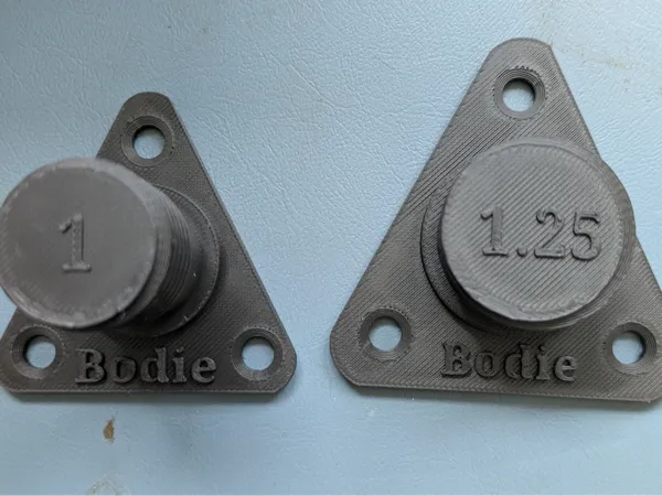 https://makerworld.bblmw.com/makerworld/model/US5f3123b54269b5/design/2025-03-21_025db1f3c0808.jpg